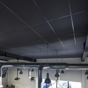 PET suspended ceiling