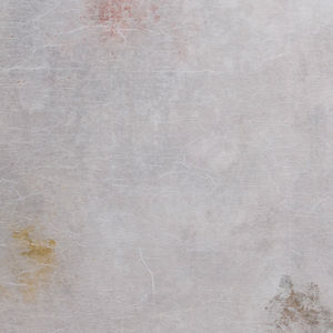 contemporary wallpaper / patterned / concrete look / gray