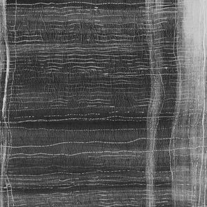 contemporary wallpaper / patterned / fabric look / black
