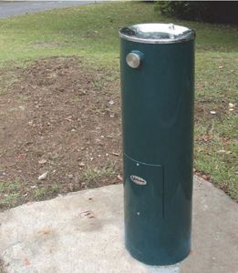 dog drinking fountain