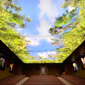panel stretch ceiling