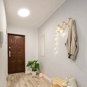 contemporary ceiling light