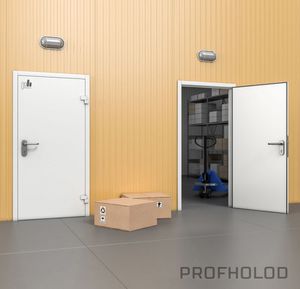 swing industrial doors
