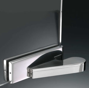 glass door hinge 1