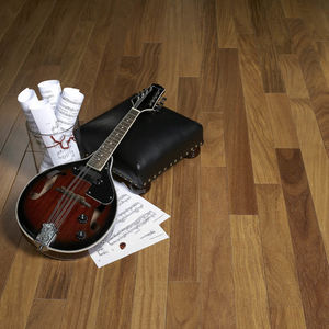 solid parquet floor