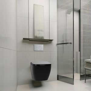 electronic toilet seat