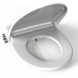 plastic toilet seat