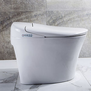 smart toilet