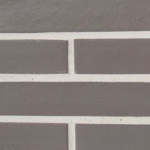 cored brick
