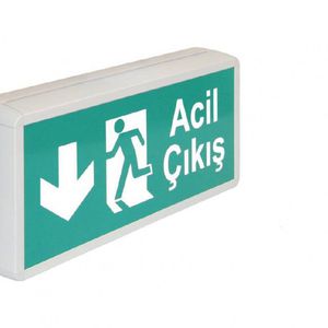 wall-mounted emergency light
