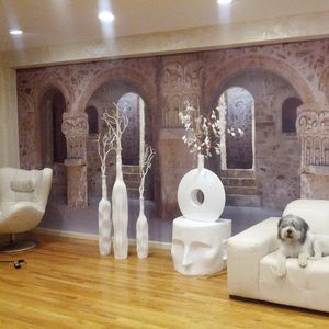 stretch ceiling canvas