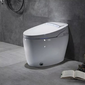 smart toilet 1