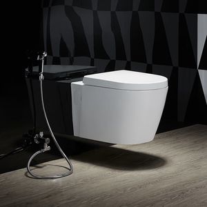 wall-hung toilet 1
