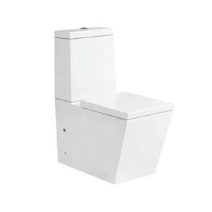 smart toilet 1
