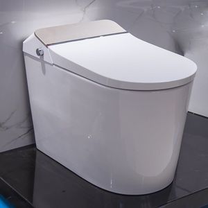 smart toilet 1