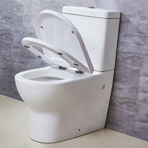 smart toilet 1