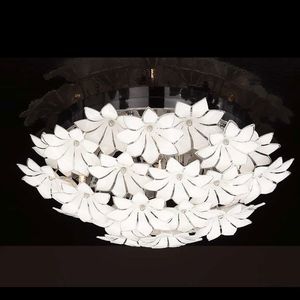 traditional ceiling light