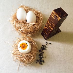 polyethylene salt and pepper shaker