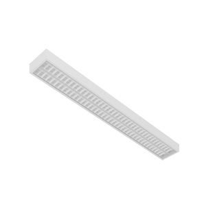 surface-mounted light fixture 1