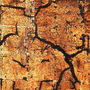 cover decorative panel