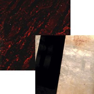 tempered glass panel