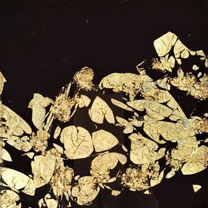 acrylic decorative panel 1
