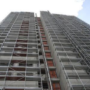 ladder with safety cage