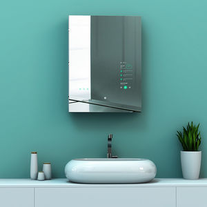 wall-mounted bathroom mirror