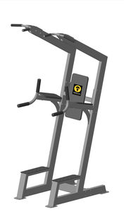 dips weight training machine
