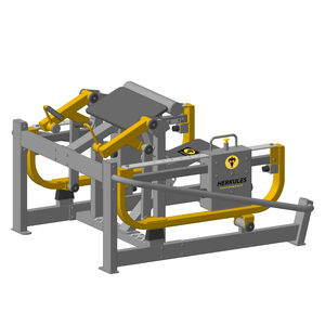 arm curl weight training machine