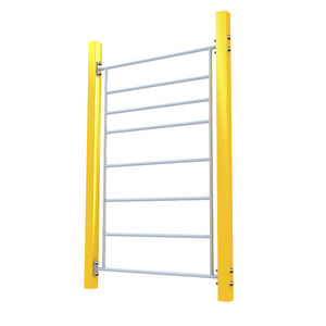 metal ladder