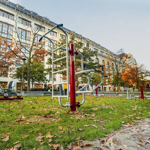 metal ladder