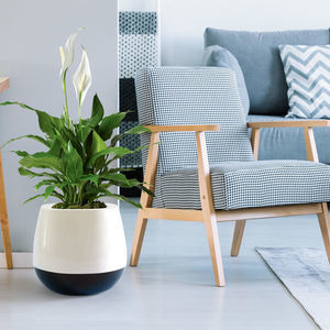 fiberglass plant pot