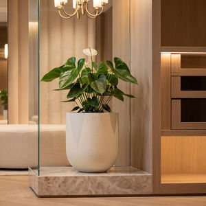 glass-reinforced plastic planter