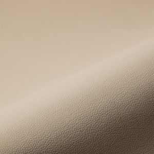 upholstery fabric