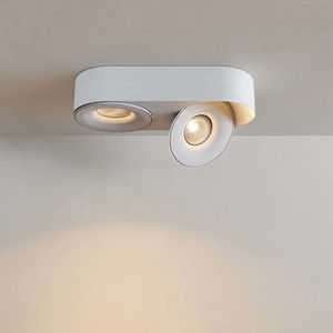 ceiling-mounted spotlight 1