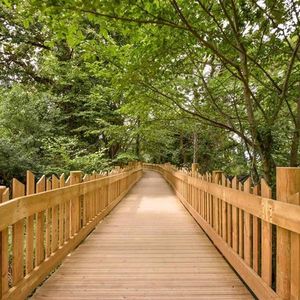 pine deck boards