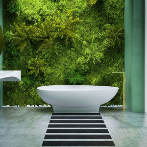 oval bathtub 1