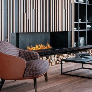 central fireplace insert 1
