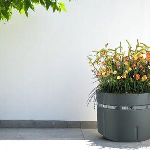 galvanised steel planter