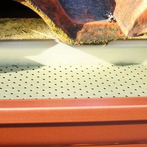 leaf guards 1