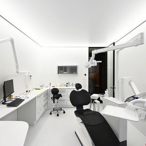 canvas stretch ceiling 1