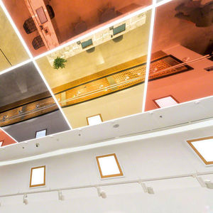 wall stretched membrane 1