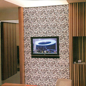 PVC stretch ceiling 1