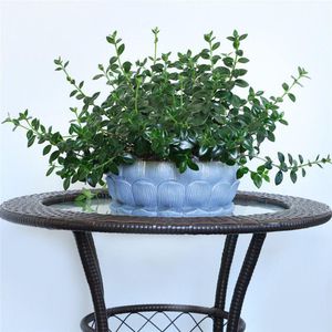 glazed ceramic planter