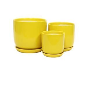 ceramic plant pot