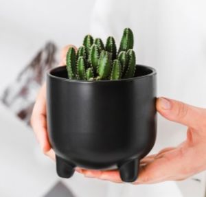 glazed ceramic plant pot