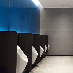 public washroom urinal partition