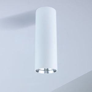 surface mounted downlight