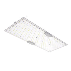 IP65 floodlight